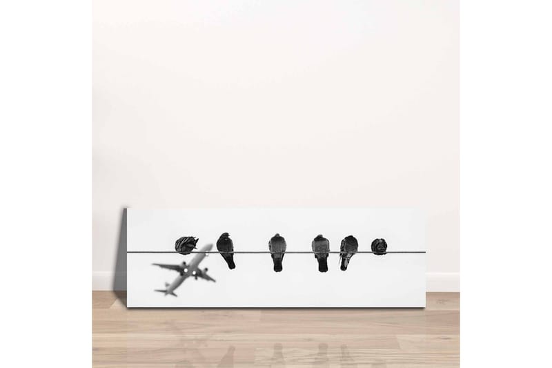 Lærredsbillede - Fugle på en wire med et fly i baggrunden - Sort / Hvid - Boligtilbehør - Billeder & kunst - Billeder på lærred