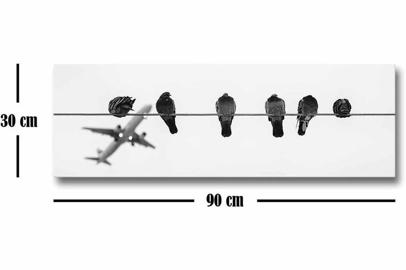 Lærredsbillede - Fugle på en wire med et fly i baggrunden - Sort / Hvid - Boligtilbehør - Billeder & kunst - Billeder på lærred