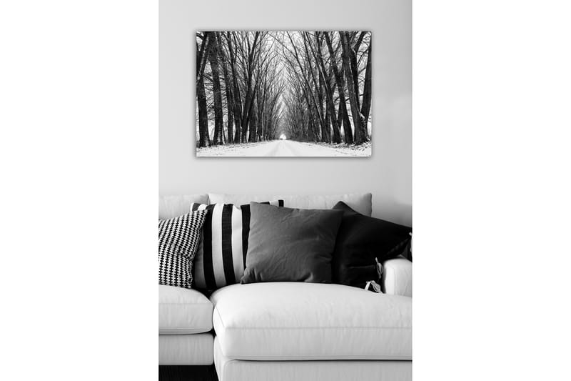 Lærredsbillede - Gold allé med bare træer i vinterlandskab - Sort / Hvid / Grå - Boligtilbehør - Billeder & kunst - Billeder på lærred