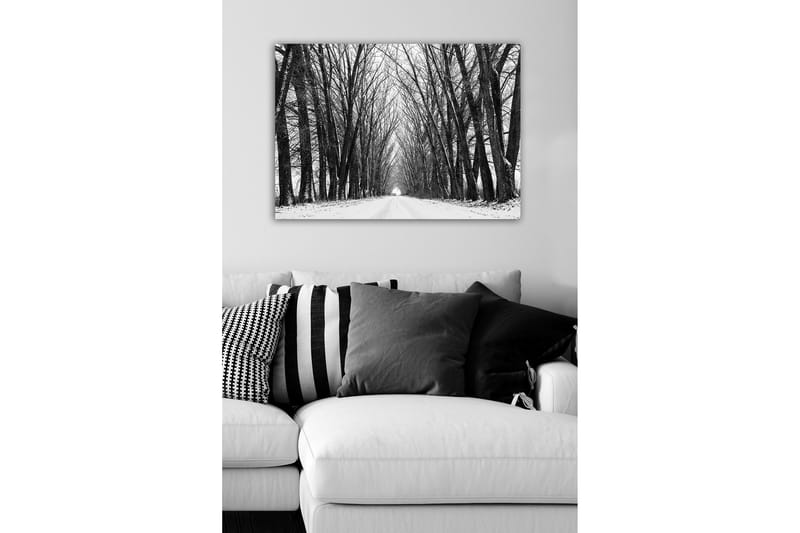 Lærredsbillede - Gold allé med bare træer i vinterlandskab - Sort / Hvid / Grå - Boligtilbehør - Billeder & kunst - Billeder på lærred