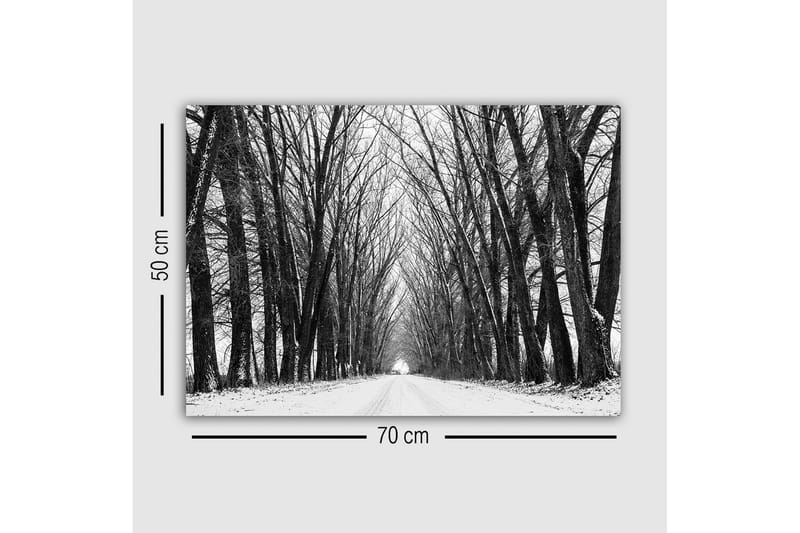 Lærredsbillede - Gold allé med bare træer i vinterlandskab - Sort / Hvid / Grå - Boligtilbehør - Billeder & kunst - Billeder på lærred
