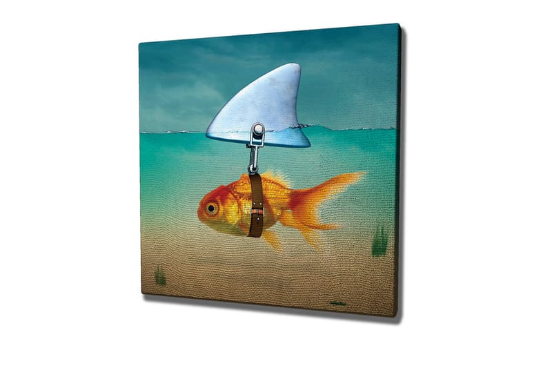 Lærredsbillede - Guldfisk med finne svømmer i klart vand, Turkis / Orange / Beige