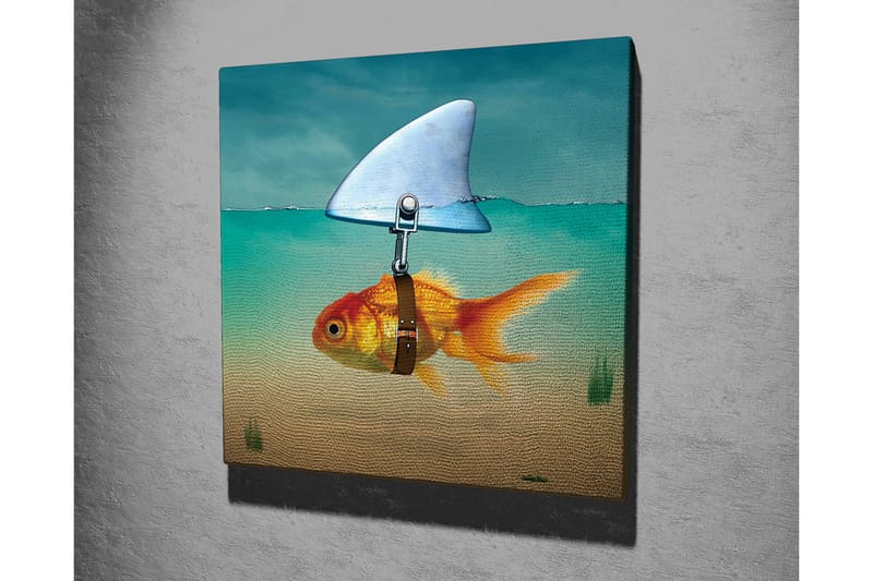 Lærredsbillede - Guldfisk med finne svømmer i klart vand - Turkis / Orange / Beige - Boligtilbehør - Billeder & kunst - Billeder på lærred