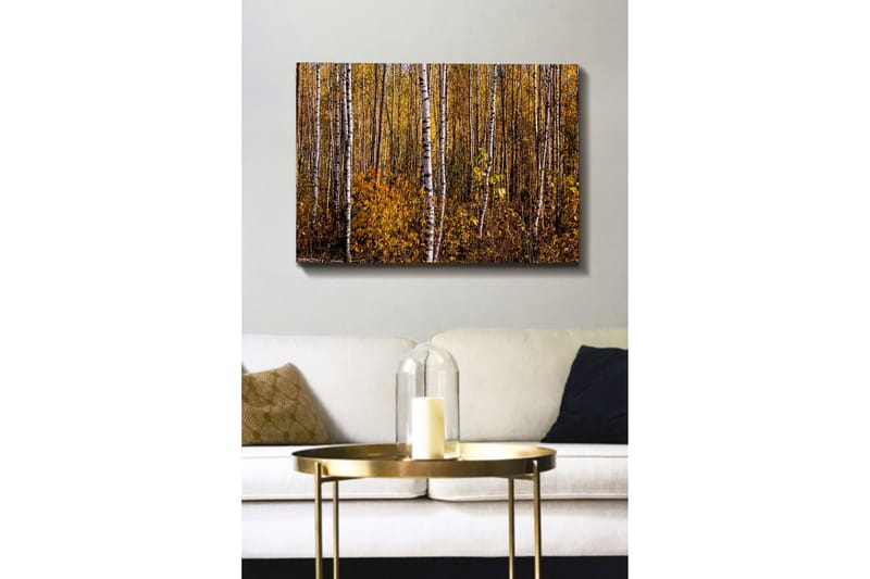 L ærredsbillede - Gylden efterårsskov med birketræer - Gul / Hvid / Brun - Boligtilbehør - Billeder & kunst - Billeder på lærred