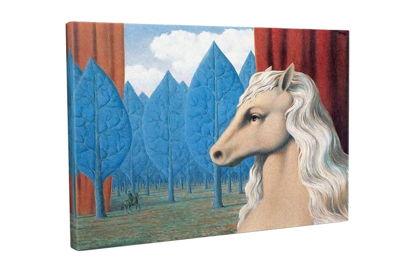 Lærredsbillede - Hestehoved med hvid manke i et drømmeagtigt skovmiljø, Blå / Rød / Beige