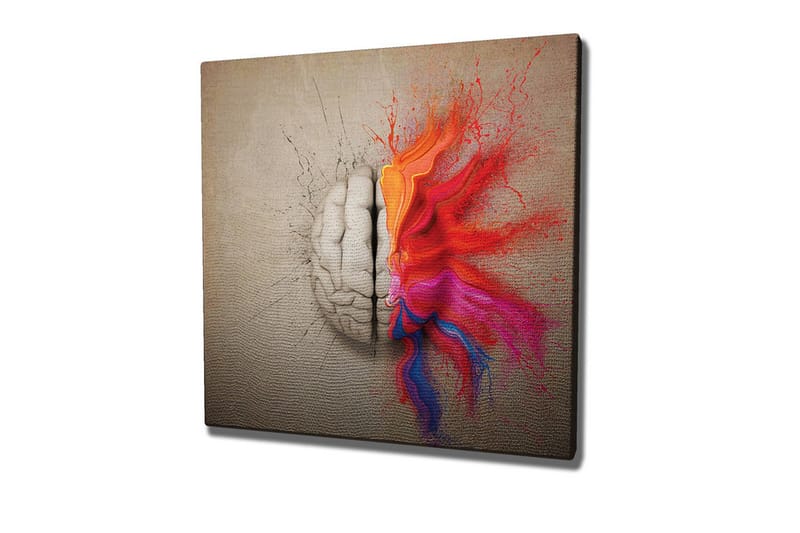 Lærredsbillede - Hjernen sprængfyldt med farverige eksplosioner af kreativitet, Rød / Orange / Pink