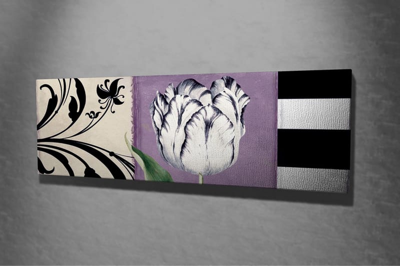 Lærredsbillede - Hvid tulipan mod lilla baggrund - Hvid / Lilla / Sort - Boligtilbehør - Billeder & kunst - Billeder på lærred