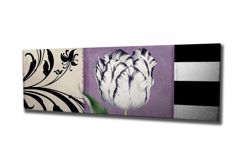 Lærredsbillede - Hvid tulipan mod lilla baggrund, Hvid / Lilla / Sort