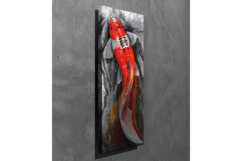 Lærredsbillede - Karpe med lys rød farve svømmer i et dæmpet miljø - Rød / Sort / Grå - Boligtilbehør - Billeder & kunst - Billeder på lærred