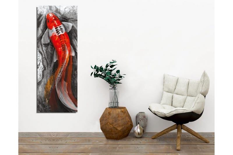 Lærredsbillede - Karpe med lys rød farve svømmer i et dæmpet miljø - Rød / Sort / Grå - Boligtilbehør - Billeder & kunst - Billeder på lærred