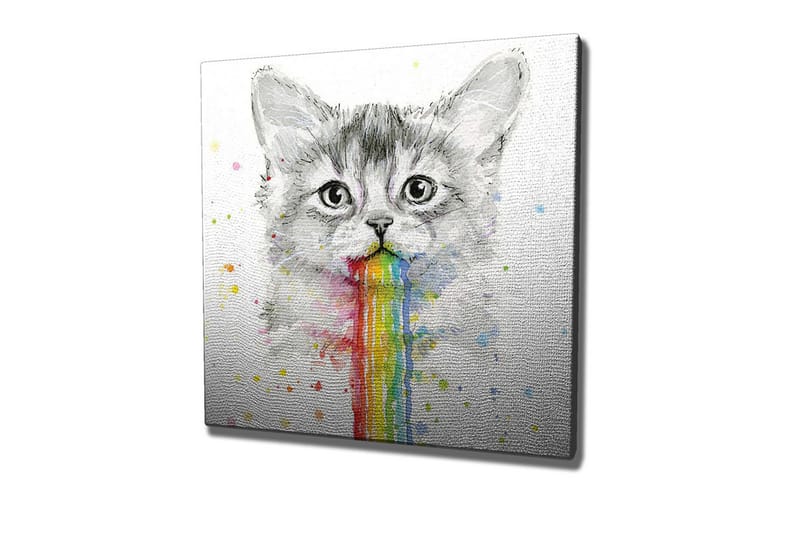 Lærredsbillede - Kat med regnbuefarvet opkast, Grå / Regnbue (rød / Orange