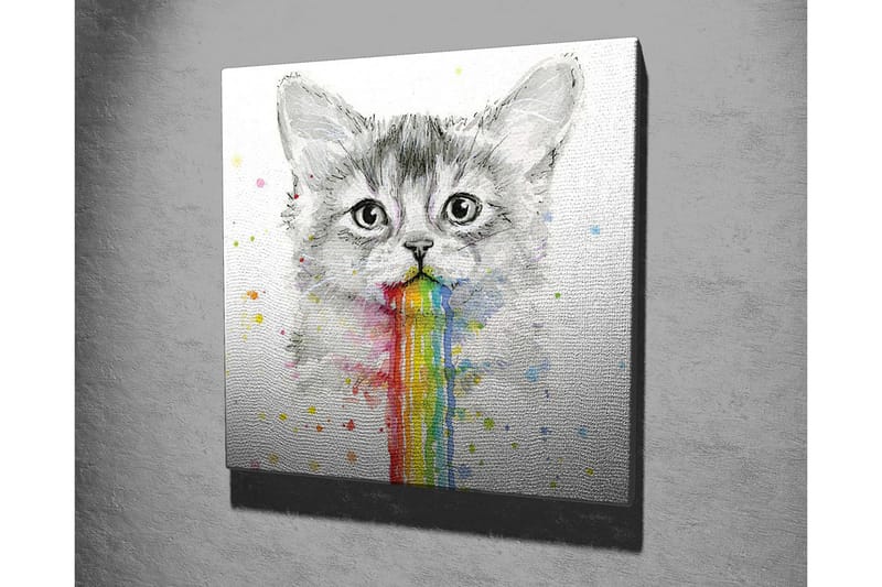 Lærredsbillede - Kat med regnbuefarvet opkast - Grå / Regnbue (rød / Orange - Boligtilbehør - Billeder & kunst - Billeder på lærred