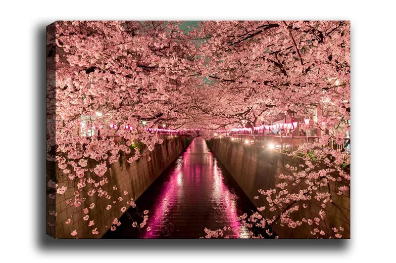 Lærredsbillede - Kirsebærblomster ved en kanal, Lyserød / Grøn / Lilla
