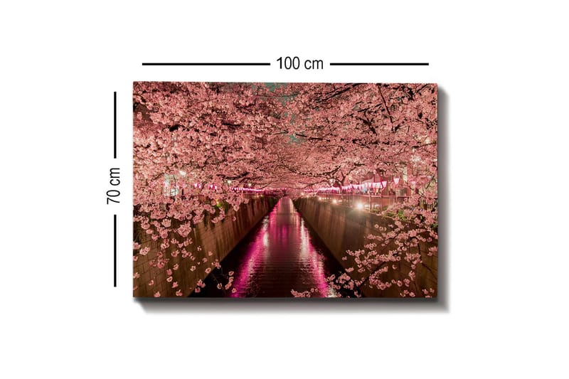 Lærredsbillede - Kirsebærblomster ved en kanal - Lyserød / Grøn / Lilla - Boligtilbehør - Billeder & kunst - Billeder på lærred