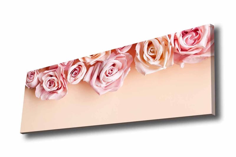 Lærredsbillede - Lyserøde roser i bløde nuancer mod en lys baggrund, Lys pink / Mørk pink / Beige