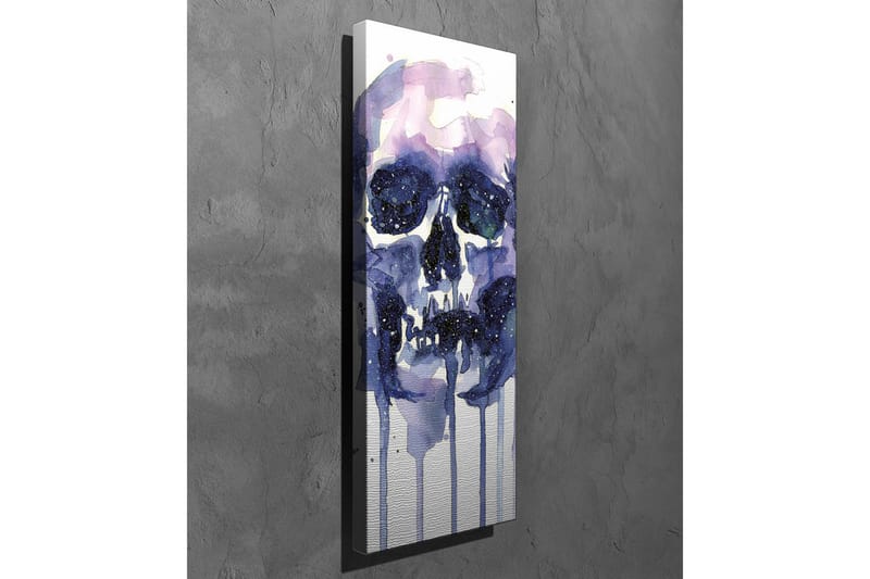 Lærredsbillede - Mørkt og mystisk kranium med stjernelignende detaljer - Lilla / Mørkeblå / Hvid - Boligtilbehør - Billeder & kunst - Billeder på lærred