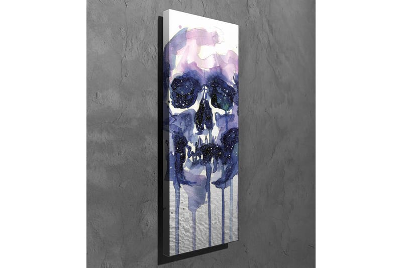 Lærredsbillede - Mørkt og mystisk kranium med stjernelignende detaljer - Lilla / Mørkeblå / Hvid - Boligtilbehør - Billeder & kunst - Billeder på lærred