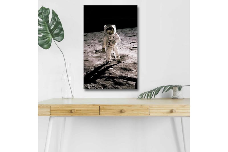 Lærredsbillede med LED-belysning - Astronaut på månens overflade, Sort / Grå / Hvid