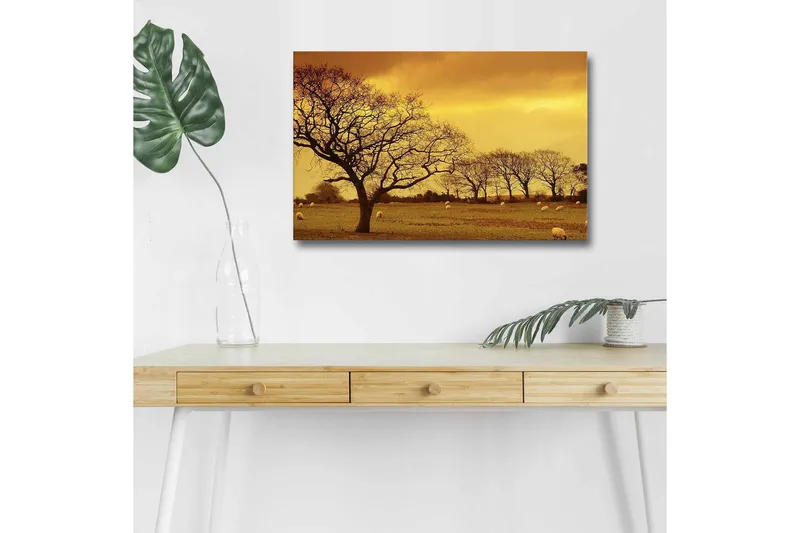Lærredsbillede med LED-belysning - Atmosfærisk landskabsudsigt med silhuetter af træer mod en gylden himmel, Guld / Brun / Sort