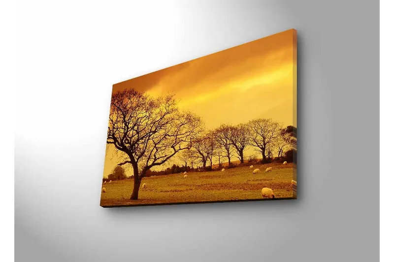 Lærredsbillede med LED-belysning - Atmosfærisk landskabsudsigt med silhuetter af træer mod en gylden himmel - Guld / Brun / Sort - Boligtilbehør - Billeder & kunst - Billeder på lærred