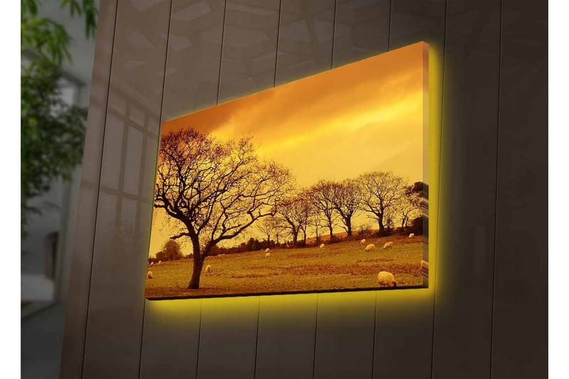 Lærredsbillede med LED-belysning - Atmosfærisk landskabsudsigt med silhuetter af træer mod en gylden himmel - Guld / Brun / Sort - Boligtilbehør - Billeder & kunst - Billeder på lærred