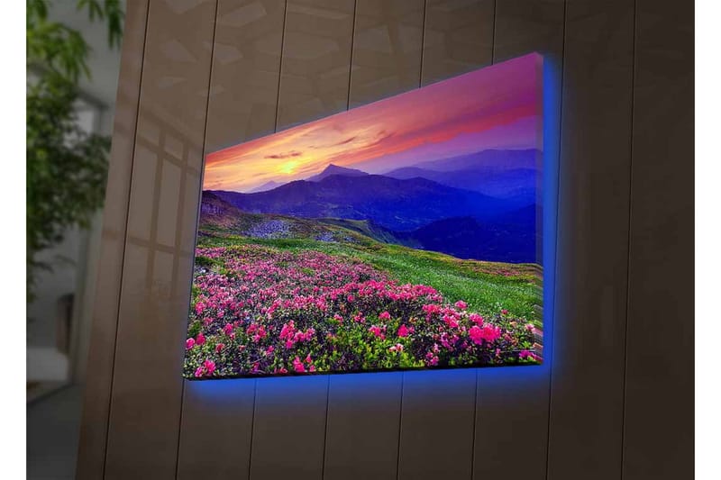 Lærredsbillede med LED-belysning - Blomstrende eng med farverige blomster og bjerge i baggrunden - Lilla / Lyserød / Grøn - Boligtilbehør - Billeder & kunst - Billeder på lærred