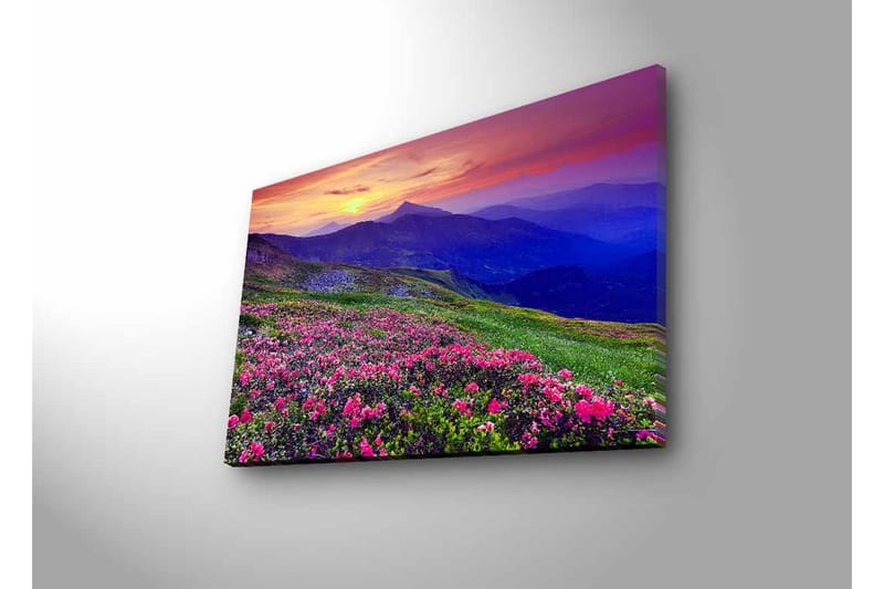 Lærredsbillede med LED-belysning - Blomstrende eng med farverige blomster og bjerge i baggrunden - Lilla / Lyserød / Grøn - Boligtilbehør - Billeder & kunst - Billeder på lærred