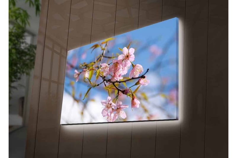 Lærredsbillede med LED-belysning - Blomstrende kirsebærtræer i forårslyset - Lyserød / Grøn / Blå - Boligtilbehør - Billeder & kunst - Billeder på lærred