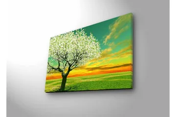 Lærredsbillede med LED-belysning - Blomstrende træer ved solnedgang - Grøn / Hvid / Orange - Boligtilbehør - Billeder & kunst - Billeder på lærred