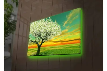 Lærredsbillede med LED-belysning - Blomstrende træer ved solnedgang - Grøn / Hvid / Orange - Boligtilbehør - Billeder & kunst - Billeder på lærred