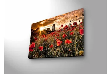 Lærredsbillede med LED-belysning - Blomstrende valmuemark i solnedgangens lys - Rød / Grøn / Gul - Boligtilbehør - Billeder & kunst - Billeder på lærred