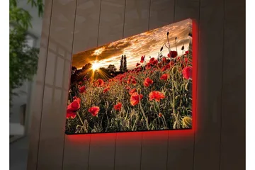 Lærredsbillede med LED-belysning - Blomstrende valmuemark i solnedgangens lys - Rød / Grøn / Gul - Boligtilbehør - Billeder & kunst - Billeder på lærred