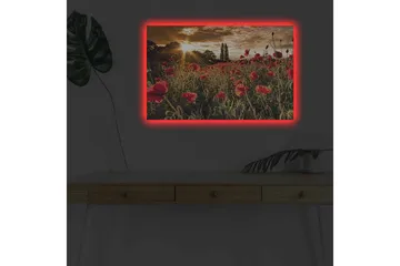Lærredsbillede med LED-belysning - Blomstrende valmuemark i solnedgangens lys - Rød / Grøn / Gul - Boligtilbehør - Billeder & kunst - Billeder på lærred