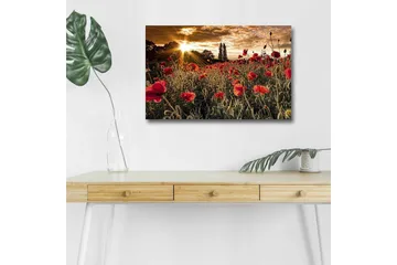 Lærredsbillede med LED-belysning - Blomstrende valmuemark i solnedgangens lys - Rød / Grøn / Gul - Boligtilbehør - Billeder & kunst - Billeder på lærred