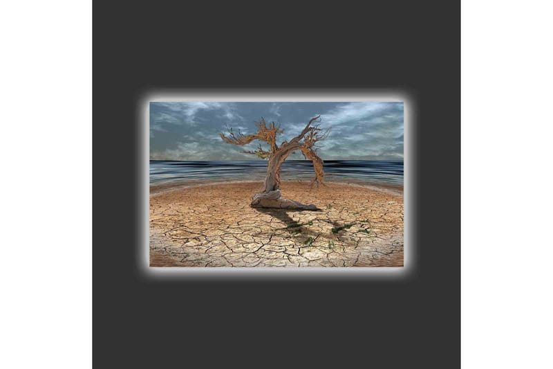 Lærredsbillede med LED-belysning - Dødt træ på en revnet jordoverflade ved havet - Brun / Grå / Blå - Boligtilbehør - Billeder & kunst - Billeder på lærred
