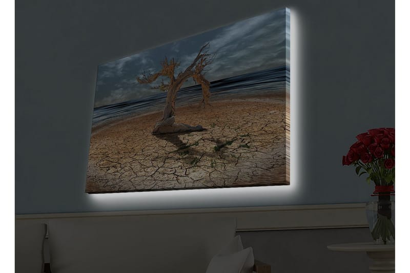 Lærredsbillede med LED-belysning - Dødt træ på en revnet jordoverflade ved havet - Brun / Grå / Blå - Boligtilbehør - Billeder & kunst - Billeder på lærred