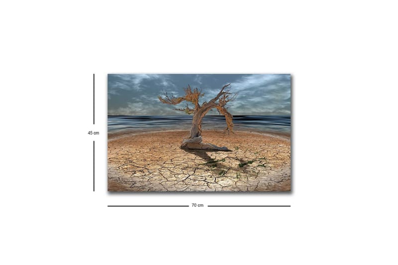 Lærredsbillede med LED-belysning - Dødt træ på en revnet jordoverflade ved havet - Brun / Grå / Blå - Boligtilbehør - Billeder & kunst - Billeder på lærred