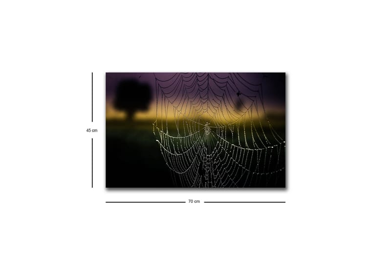 Lærredsbillede med LED-belysning - Edderkoppespind med dugdråber i blødt lys - Sort / Grå / Guld - Boligtilbehør - Billeder & kunst - Billeder på lærred