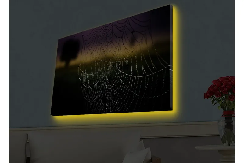 Lærredsbillede med LED-belysning - Edderkoppespind med dugdråber i blødt lys, Sort / Grå / Guld