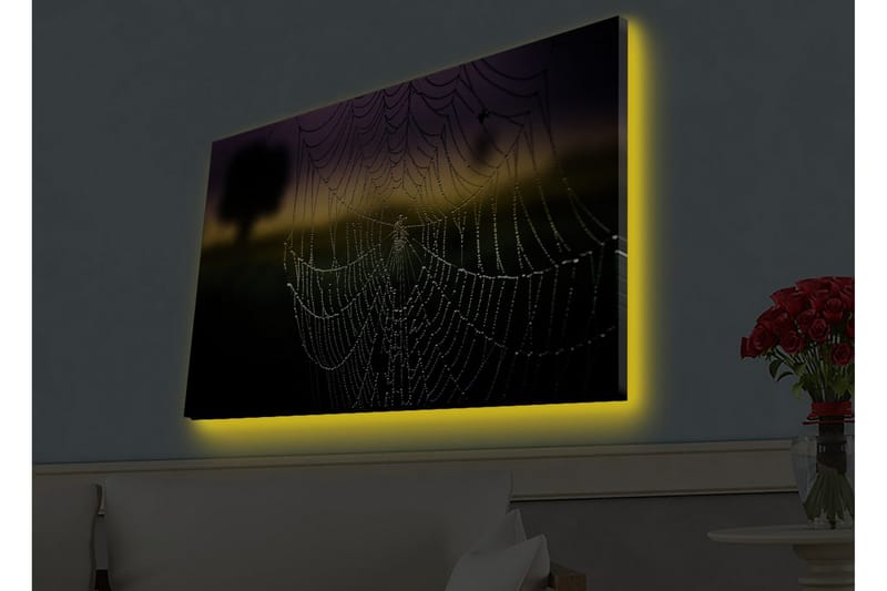 Lærredsbillede med LED-belysning - Edderkoppespind med dugdråber i blødt lys, Sort / Grå / Guld