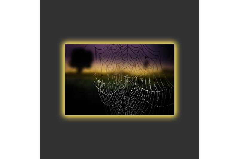 Lærredsbillede med LED-belysning - Edderkoppespind med dugdråber i blødt lys - Sort / Grå / Guld - Boligtilbehør - Billeder & kunst - Billeder på lærred