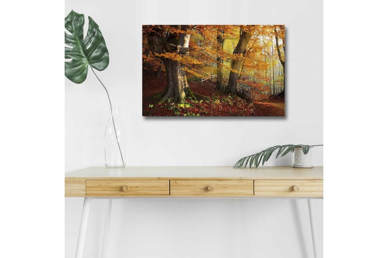 Lærredsbillede med LED-belysning - Efterårslandskab med farverige træer og blade - Orange / Brun / Grøn - Boligtilbehør - Billeder & kunst - Billeder på lærred