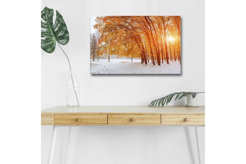 Lærredsbillede med LED-belysning - Efterårslandskab med gyldne træer i et snedækket miljø - Guld / Hvid / Brun - Boligtilbehør - Billeder & kunst - Billeder på lærred