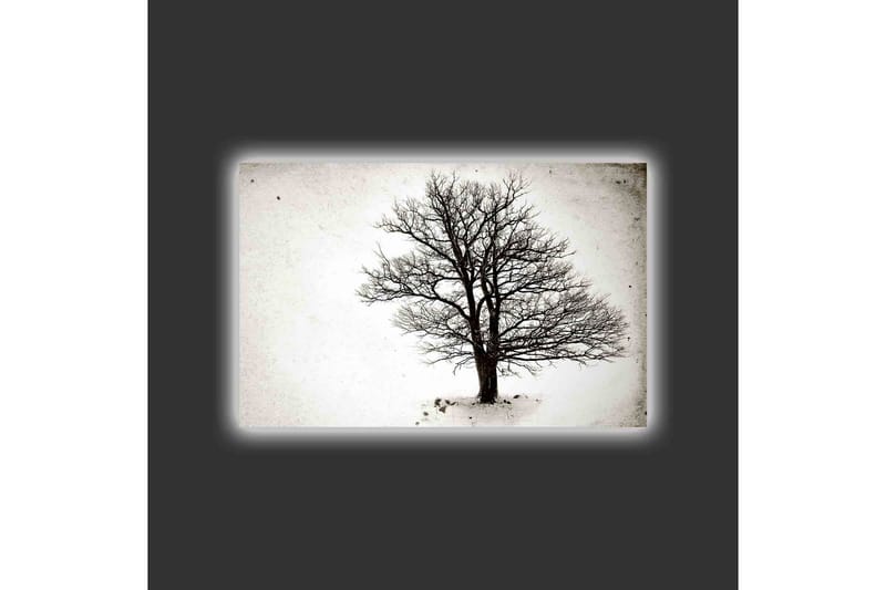 Lærredsbillede med LED-belysning - Ensom, bar trækrone mod en hvid baggrund - Sort / Hvid - Boligtilbehør - Billeder & kunst - Billeder på lærred