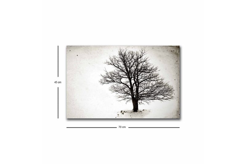 Lærredsbillede med LED-belysning - Ensom, bar trækrone mod en hvid baggrund - Sort / Hvid - Boligtilbehør - Billeder & kunst - Billeder på lærred