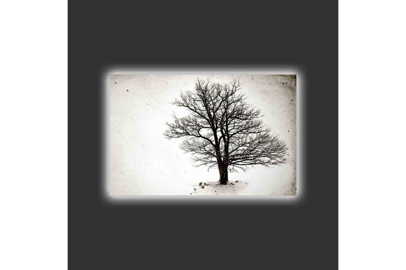 Lærredsbillede med LED-belysning - Ensom, bar trækrone mod en hvid baggrund - Sort / Hvid - Boligtilbehør - Billeder & kunst - Billeder på lærred