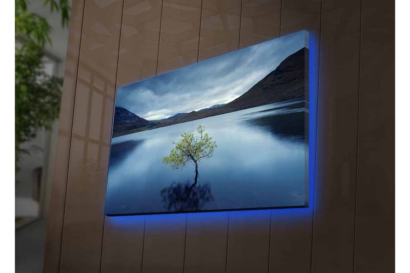 Lærredsbillede med LED-belysning - Ensom trætop spejlet i stille vand - Mørkeblå / Grøn / Grå - Boligtilbehør - Billeder & kunst - Billeder på lærred