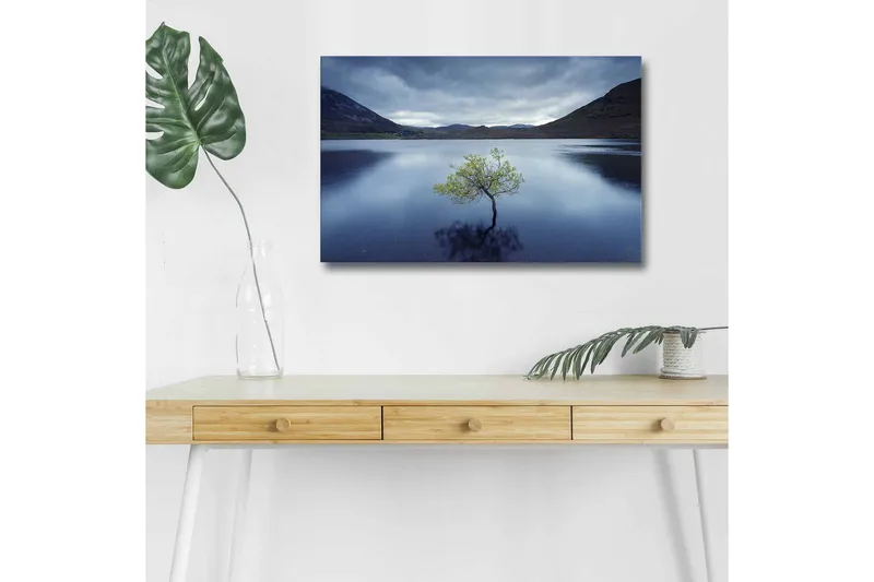 Lærredsbillede med LED-belysning - Ensom trætop spejlet i stille vand, Mørkeblå / Grøn / Grå