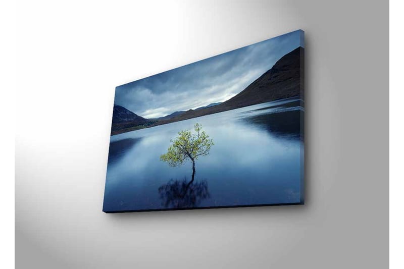 Lærredsbillede med LED-belysning - Ensom trætop spejlet i stille vand - Mørkeblå / Grøn / Grå - Boligtilbehør - Billeder & kunst - Billeder på lærred