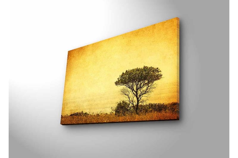 Lærredsbillede med LED-belysning - Ensomt træsilhuet mod en gylden himmel - Guld / Brun / Sort - Boligtilbehør - Billeder & kunst - Billeder på lærred